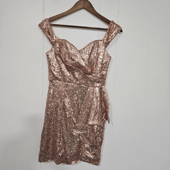 BARIANO AUSTRALIA Elegant Sequin Dress in Rose Gold - threedaughtersproperties.com BARIANO AUSTRALIA Elegant Sequin Dress in Rose Gold - threedaughtersproperties.com